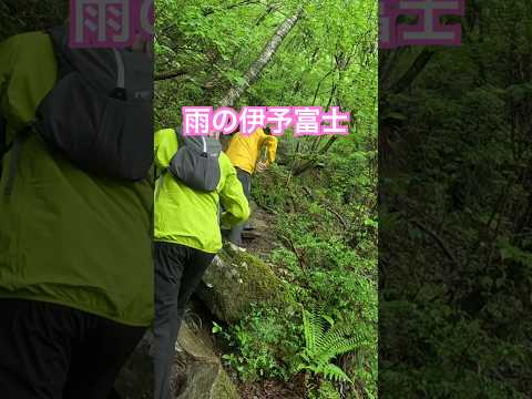 雨の伊予富士大冒険！ #shorts #ワラーチ #登山 #愛媛 #冒険