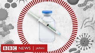 コロナには追加接種、インフルは毎年　なぜワクチン効果の持続期間が違うのか