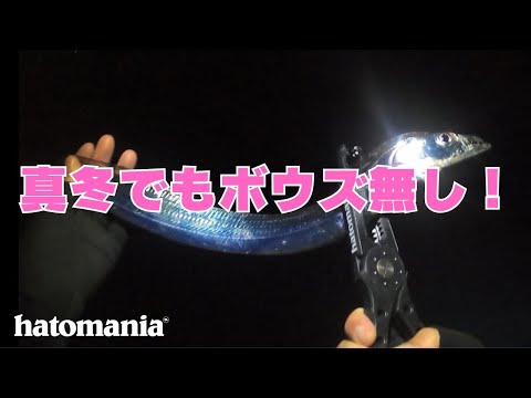 真冬でも爆釣できる釣り場って、こんな場所です