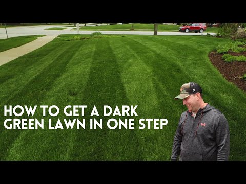 I added THIS to my lawn and WHAT A CHANGE!!! Yard Mastery Double Dark