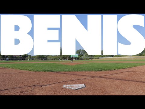 i made an entire song using the word 'benis'