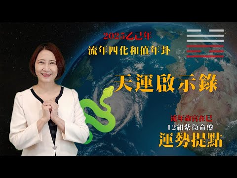 【2025乙巳年天運啟示錄暨流年命宮在巳12組命盤運提點】#2025乙巳年紫微流年四化 #2025流年運勢 #2025流年四化 #2025 #2025紫微流年運勢 #chinese astrology