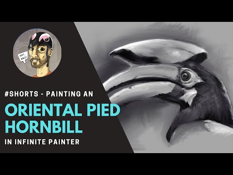 #Shorts - Painting a hornbill in Infinite Painter with Galaxy Tab S6 Lite