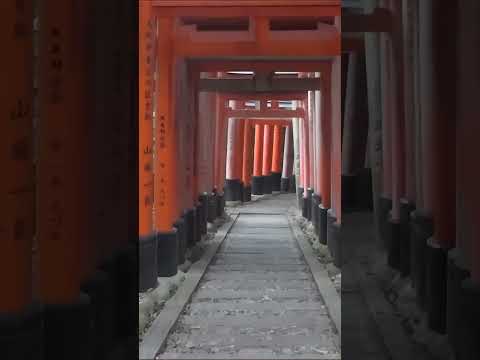 京都・伏見稲荷大社を歩く[30](2012年・手振れ注意) #shorts #kyoto #Japan