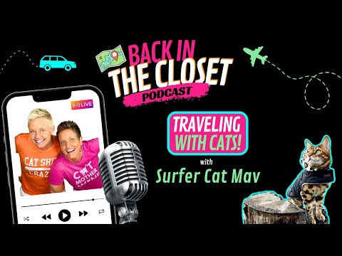 Traveling With Cats | Back In The Closet with Surfer Cat, Mav!