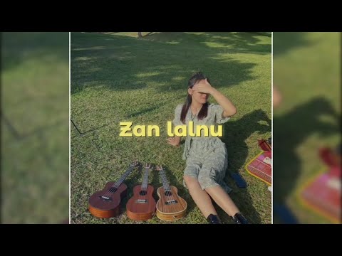 Zan lalnu - Song by YoungFella || lyrics❤🎶 link in the description🔰 #mizosong #supportme