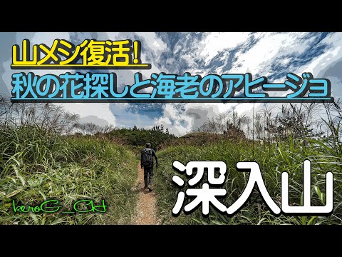 【深入山 LUMIX DC-S5】山メシ復活！秋の花探しと海老のアヒージョ