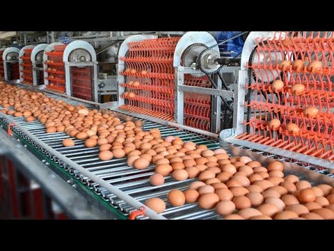 Food Industry Machines With Modern Production Process That Are At Another Level ➤#3