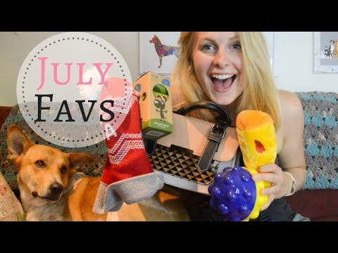 July Favourites + Dog Treats Haul | InRuffCompany.com