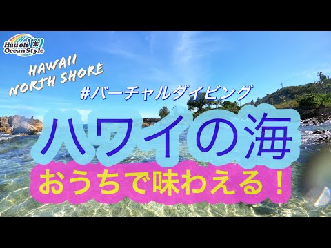 おうちでハワイの海を味わえる！【バーチャルダイビング】GoProタイムワープ使ってみた！Scuba Diving with GoPro8 TimeWarp in Shark's Cove, HI