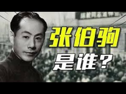 “敗家子”大收藏家張伯駒【前言】民國故事