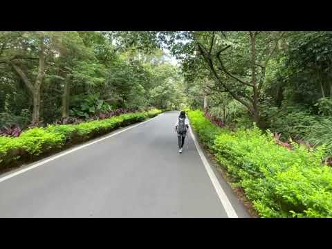 淡水悠然山中秘境🌸｜三空泉步道｜滬尾櫻花大道｜淡水｜cakethree三個蛋糕