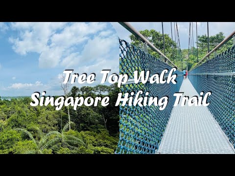 Tree top walk Singapore | Hiking trait | Beautiful scene at Macrhichie