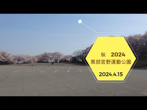 2024.4.15　黒部宮野運動公園