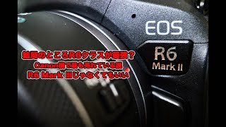 Canonのフルサイズミラーレス機は結局R6クラスが最強なのでは？十分すぎるスペックです！