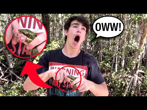 Worst Lizard BITE of my LIFE!!