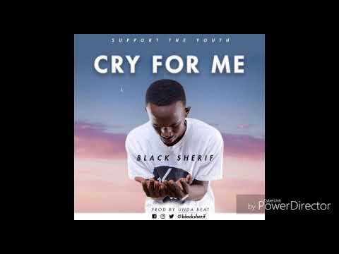 Black Sherif - Cry For Me (audio slide)