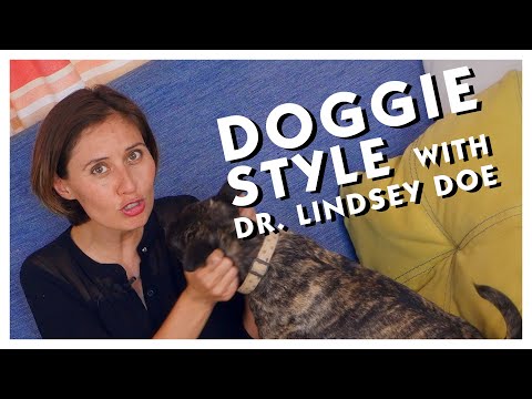 Doggie Style: What I've Learned from Dogs about Sex