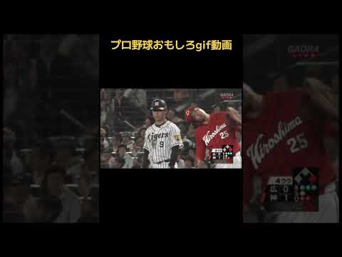 【大爆笑】プロ野球おもしろgif動画　#野球 #baseball #プロ野球 #npb #爆笑 #お笑い