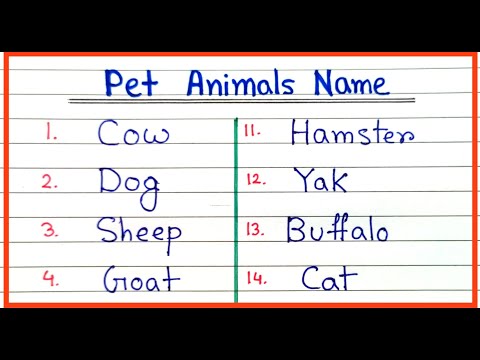 Pet animal names easy learning | How to write animal names step by step | Animal names in English