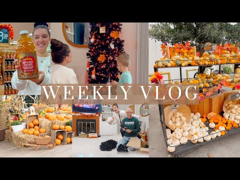 Vlog | Trader Joes Shop With Me + Haul, Decorating For Halloween, &  GRWM