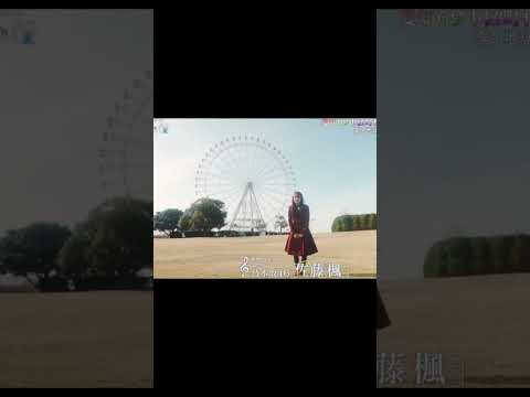 乃木坂46 佐藤楓 音色遺産 #388