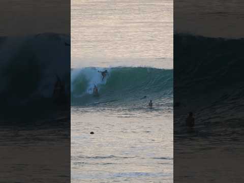 Wild Scenes At Padang Padang