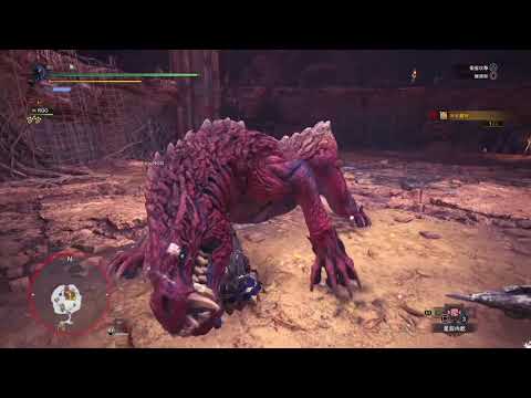 魔物獵人世界 MHW 新大陸的白風 屍套龍大劍客製化吸血好用哦