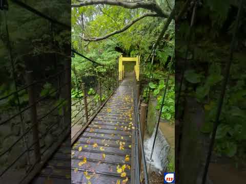 北市南港區桂花吊橋步道