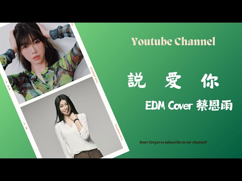 說愛你 (蔡依林) EDM Cover ( 蔡恩雨 Priscilla Abby) (純音樂)【動態歌詞Lyrics】