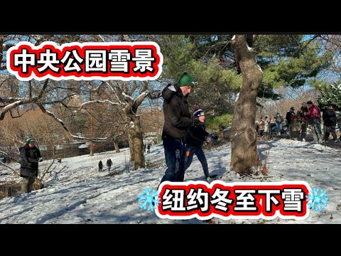 12月21日冬至🔥纽约中央公园雪景🔥零下七度🔥无声胜有声🔥