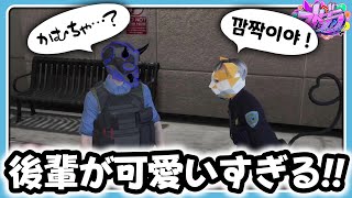 【ストグラ】可愛すぎる後輩猫マンゴー！【#らっだぁ切り抜き】