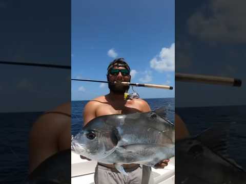 Trolling a Shark for African Pompano! Shark released! #fishing #shortvideo #fish #ocean #redsnapper