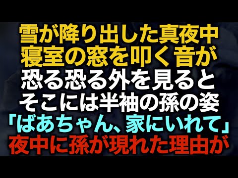 【スカッとする話】雪が降り出した真夜中寝室の窓を叩く音が…恐る恐る外を見るとそこには半袖の孫の姿…「ばあちゃん、家にいれて」夜中に孫が現れた理由が…【修羅場】