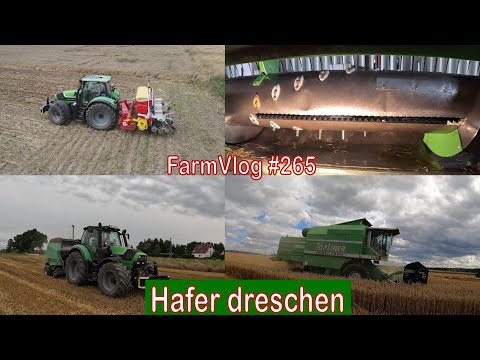 Farmvlog  #265: Hafer dreschen | Zwischenfrucht säen | Schneidwerksoptimierung