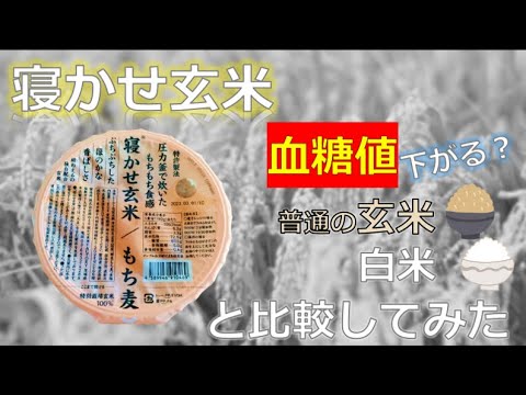 寝かせ玄米の血糖値抑制効果検証【同じ食事で比較】