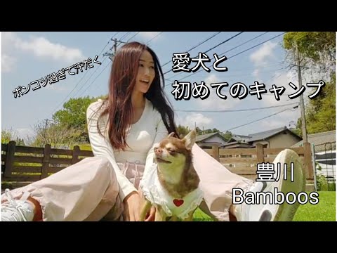 愛犬と初めてのキャンプ(Bamboos)。マルチグリドルで作ったキャンプ飯が最高過ぎた