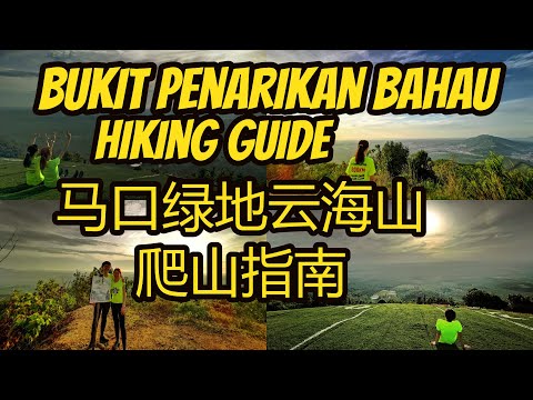 Bukit Penarikan Bahau Hiking Guide马口绿色地毯云海山指南