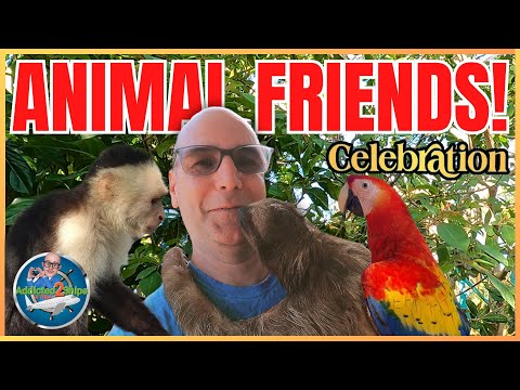 CARNIVAL CELEBRATION CRUISE: - I MADE SOME FRIENDS! (Ep. 5)