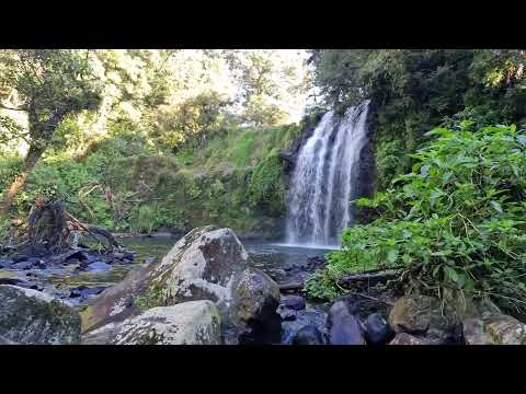 La Poza del Pato con su hermosa Cascada en el Río Naolinco