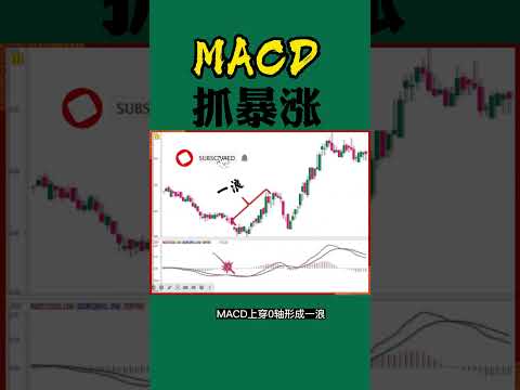 股票买卖 | MACD抓暴涨#shorts#stockmarket#投资