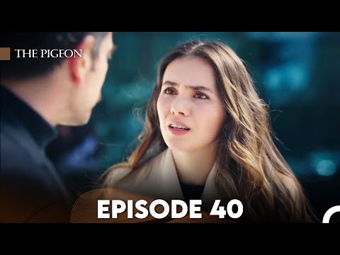 The Pigeon Episode 40 (FULL HD)