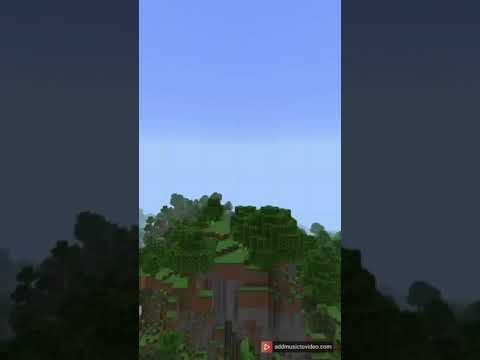 Minecraft Transition Video #shorts #short #minecraft #viral