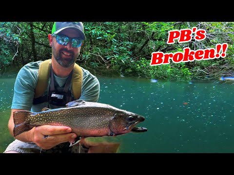 Inline Spinner Trout Fishing! CAMP and COOK!