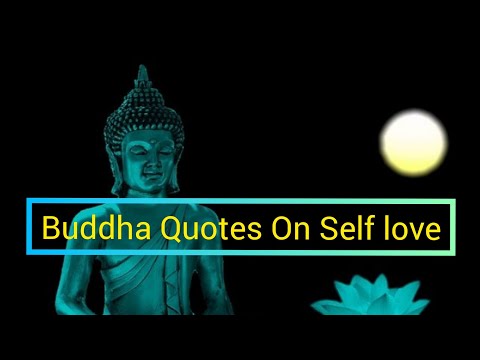 💖Buddha Quotes On Self Love🌈