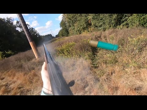 SC Deer Dig Drives 10/28/23: A shot on cam with some good races!