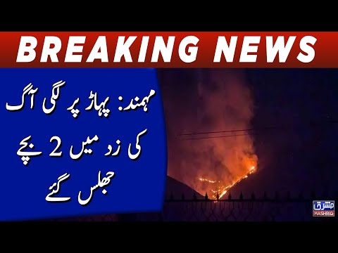 Mohmand: 2 children were burnt in the fire on the mountain