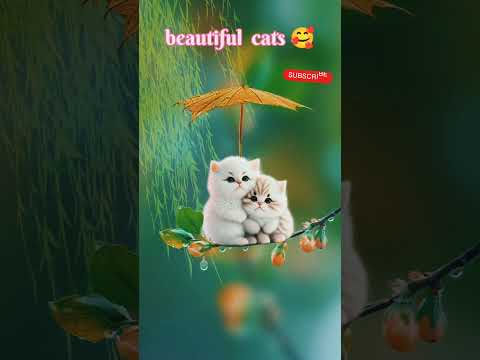 Beautiful cats 🥰#shrots #trending#viralvideo #cats#ai cats#AGSlines