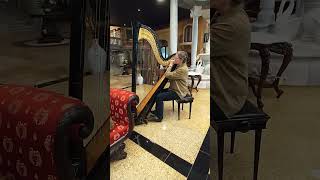 Salvi Daphne Ebony 46 String Italian Pedal Harp