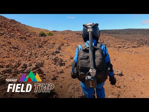 What It Takes To Live On Mars #SHORTS